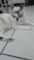 Lola