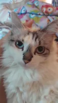 Lola