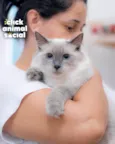 Pamela