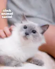 Pamela