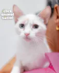 ANANDA