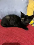 Lili