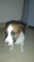 Billy