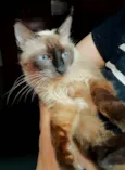 Vicky