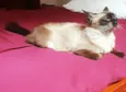 Vicky