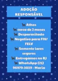 Athos