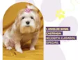 Cristal