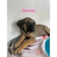 Dorothy