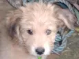 Beethoven 