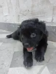 Lucy