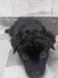 Lucy
