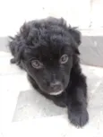 Lucy
