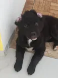 Lucy