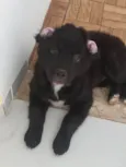 Lucy