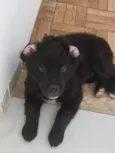 Lucy