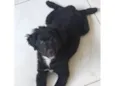 Lucy