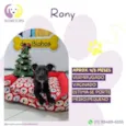 Rony