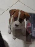 Joãozinho