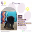 Diana