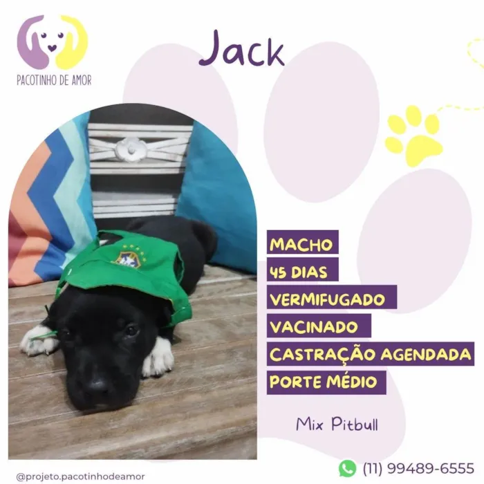 Cachorro ra a SRD-ViraLata idade Abaixo de 2 meses nome Jack
