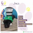 Jack