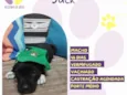 Jack