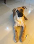 Duke