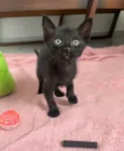 Tom