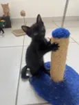 Tom