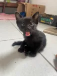 Tom