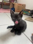 Tom