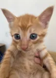 Tony