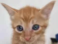 Tony