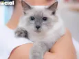 Pamela