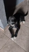 Teddy 