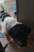 José