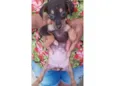 Lindinha