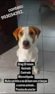 GREG