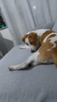 GREG