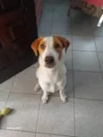 GREG