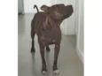 Não sei o nome