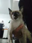 Sem nomes ainda 