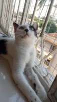 Penélope