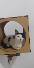 Penélope