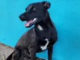 Duke