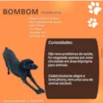 Bombom