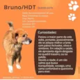 Bruno