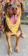 Mel