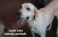 Lupita