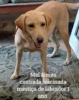 Mel